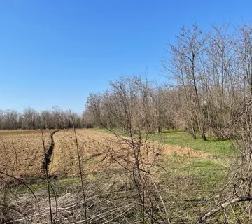 49 Vukovar centar građevinsko z.18199 m2 za investitore, M-Mje 5 eu/m2 - cover