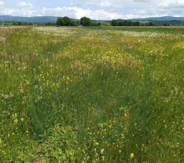 Poljoprivredno zemljište 5000 m², Perušić - cover