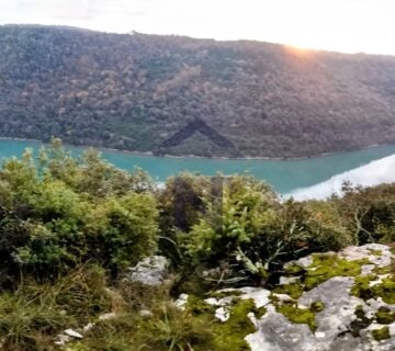 Prodaja - Zemljište - šuma 30.902 m2 - Sveti Lovreč, Krunčići - cover