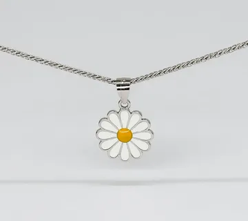 Srebrni privjesak Zya - cover