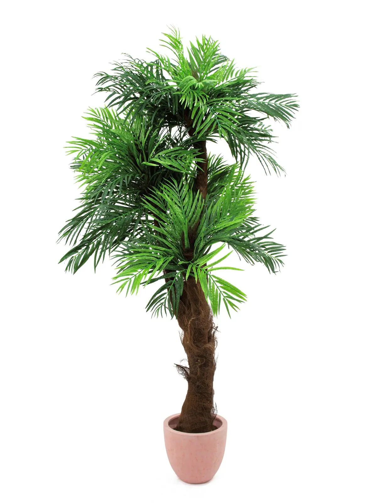 EUROPALMS Areca palm tree, 170cm - cover