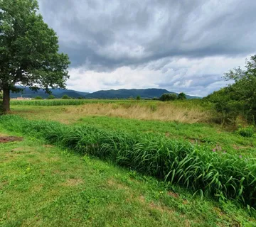Građ. zemljište, Donja Bistra, 2500 m2 - cover
