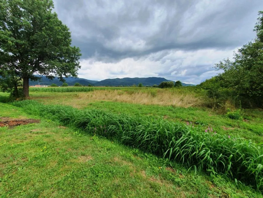 Građ. zemljište, Donja Bistra, 2500 m2 - cover