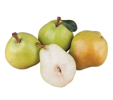 Viljamovka kruška *Fruit Club* - cover