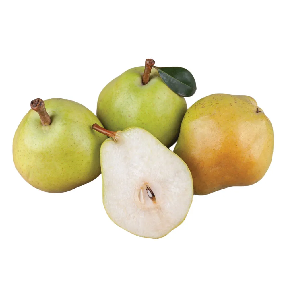 Viljamovka kruška *Fruit Club* - cover