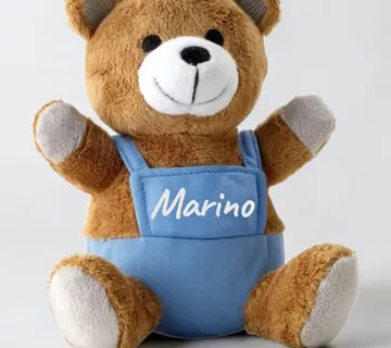 Plišani medo u plavom kombinezonu - cover