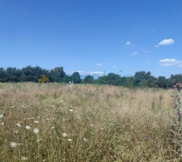 Građevinsko zemljište , Briševo, 3261 m2, mogućnost parcelizacije - cover