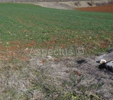 Pazin, građevinsko zemljište 10765 m2 poslovne namjene - cover