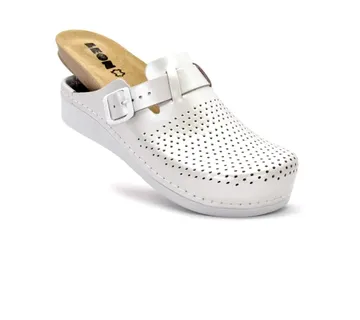 KOŽNE ANATOMSKE KLOMPE, Srebrna, BBHFF - cover