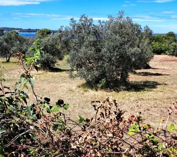 Prodaja zemljista - cover