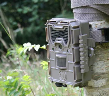 Američka Bushnell 20MP Full HD LOW GLOW lovačka kamera - cover