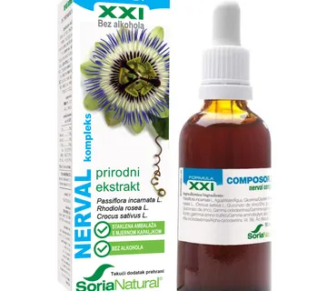 Nerval XXI kompleks - cover