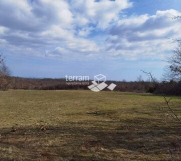 Istra, Žminj, poljoprivredno zemljište 59542m2, prodaja - cover