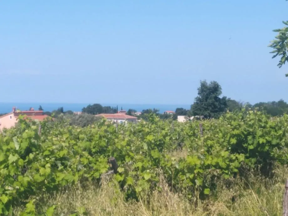 KAŠTELIR-GRAĐEVINSKA PARCELA NA PRODAJI - cover