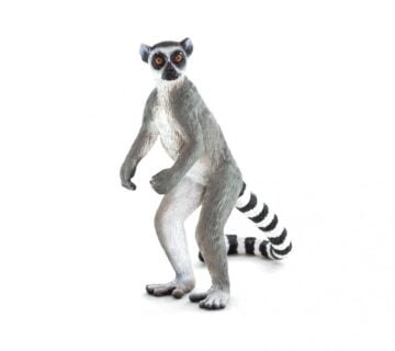 Lemur - cover