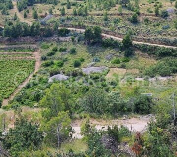 Brač. Nerežišća, poljoprivredno zemljište, prodaja - cover