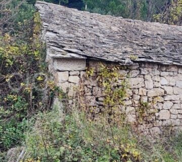 Omiš, kamena kuća, zemljište i maslinik, prodaja - cover