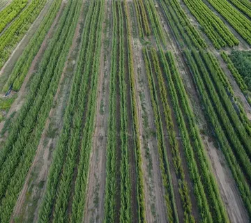Prestiž Plant Nursery - cover