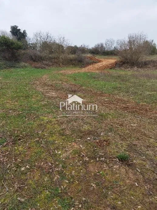 Istra,Šišan poljoprivredna parcela 523 m2 - cover