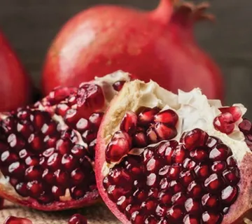 ŠIPAK “Glavaš” - cover