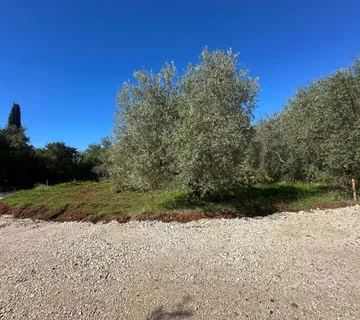 VABRIGA- ZEMLJIŠTE SA GRAĐEVINSKOM DOZVOLOM ZA GRADNJU VILE SA BAZENOM - cover