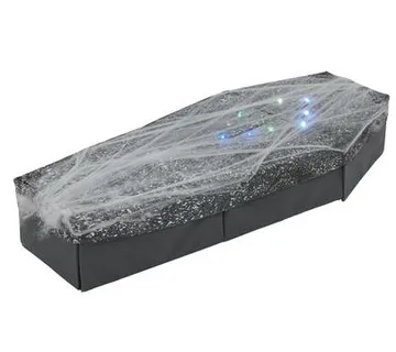 EUROPALMS Halloween Coffin with Spiderweb - cover