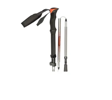 ŠTAPOVI ZA NORDIJSKO HODANJE, Smeđa, HBIE - cover