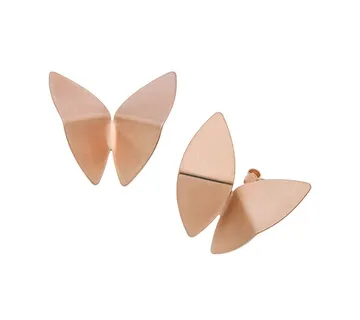 Leptir naušnice - cover