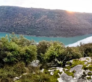 Sveti Lovreč, šuma od 3Ha sa pogledom na more u Istri - cover