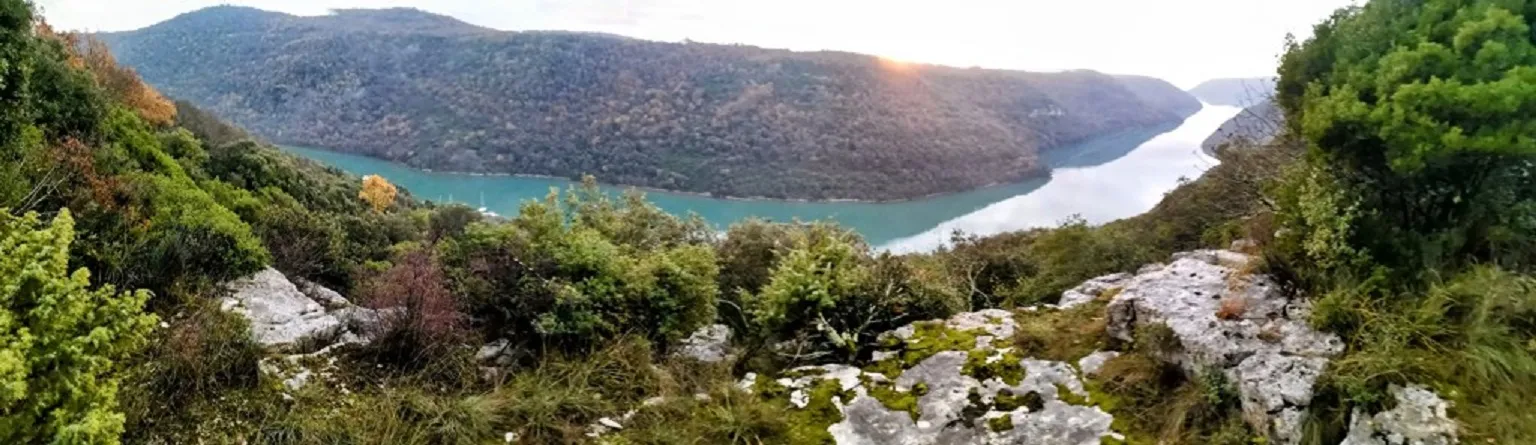 Fotografija