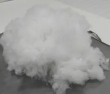 POLIESTER VLAKNO - cover