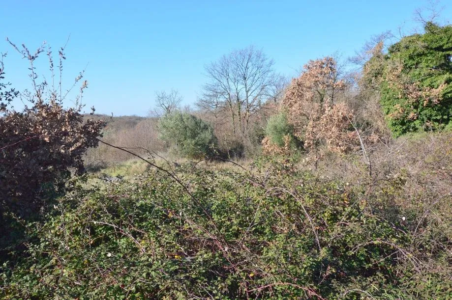 SVETI LOVREČ -GRAĐEVINSKO ZEMLJIŠTE POGLED MORE - cover