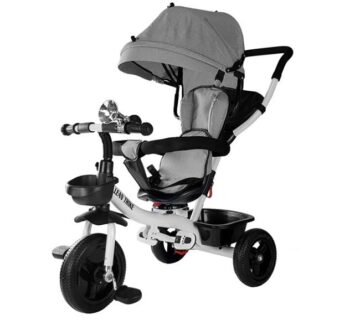 Tricikl PRO300- sivi - cover