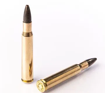 Karabinsko streljivo FIOCCHI .30-06 SE 10,7g / 165gr - cover