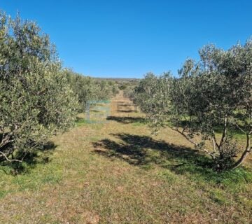 Zemljište prodaja Turanj 4938 m2 - cover