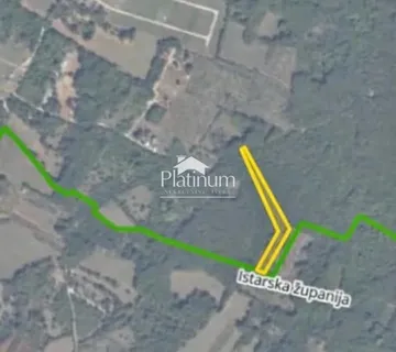 Istra,Šišan šuma na prodaju - cover