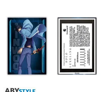 Magnet Solo Leveling Jinwoo - cover