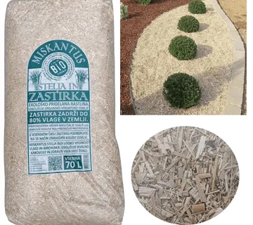 MISKANTUS MALČ - cover