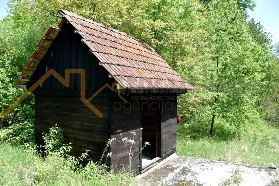 Fotografija