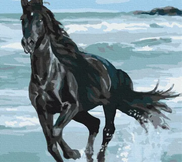 slikanje po brojevima 40×50 Black horse - cover