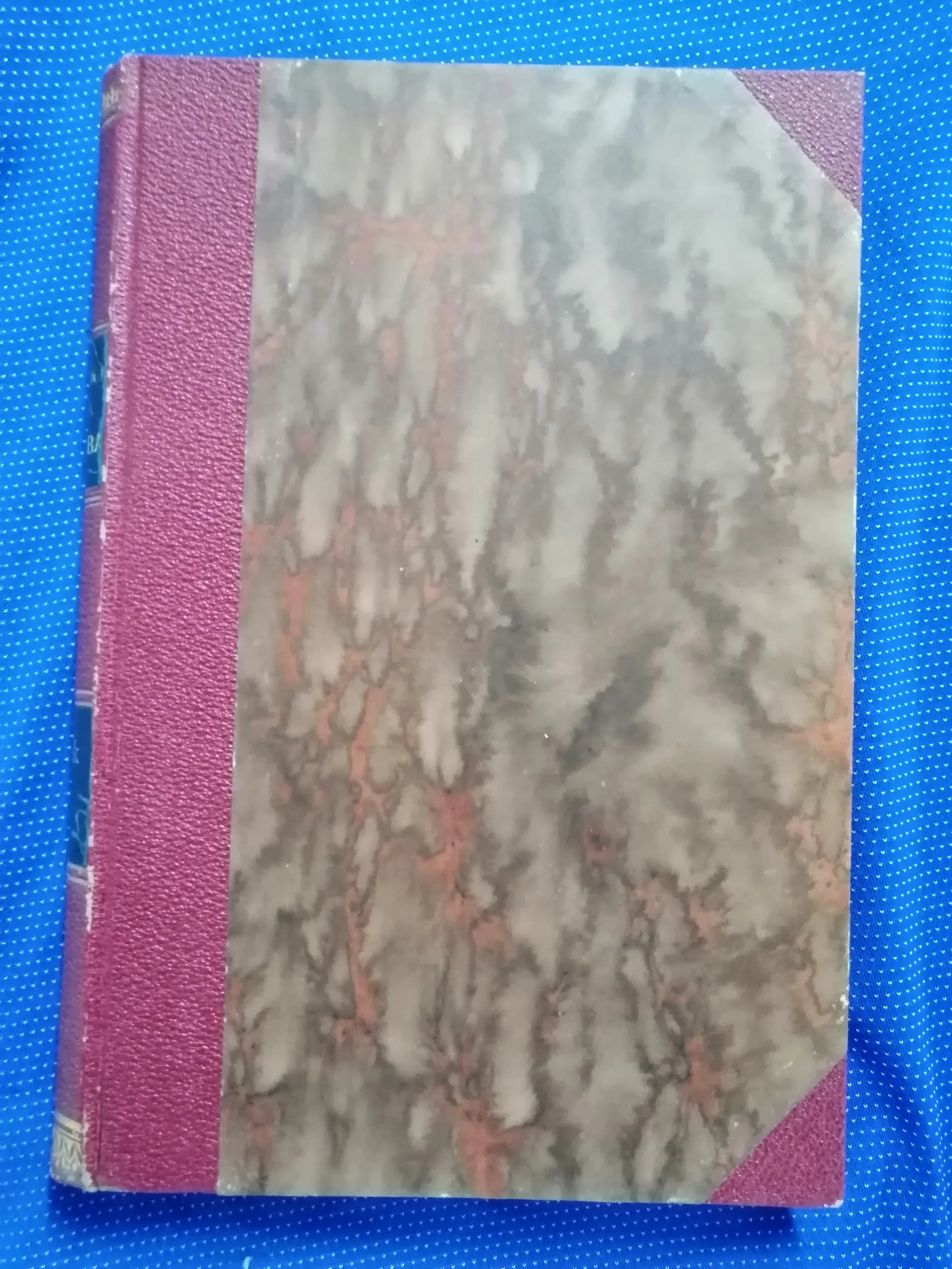 Povijesni spomenici slobodnoga kraljevskoga grada Zagreba 10 (Z19) - cover
