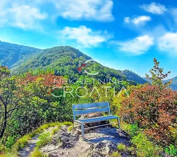 ŠUMA 11.142 m2, IVANŠČICA! - cover