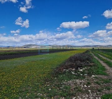 Poljoprivredno zemljište PRODAJA - Biograd na Moru 4.981 m2 - cover