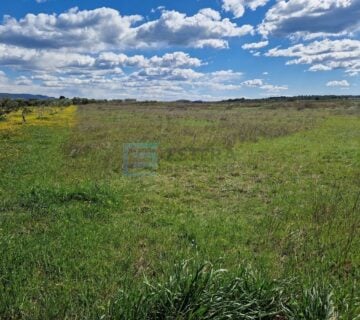 Poljoprivredno zemljište PRODAJA - Biograd na Moru 6.950 m2 - cover