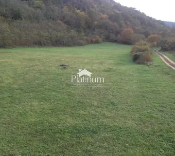 Istra,Kanfanar zemljište pogodno za jahački turizam - cover