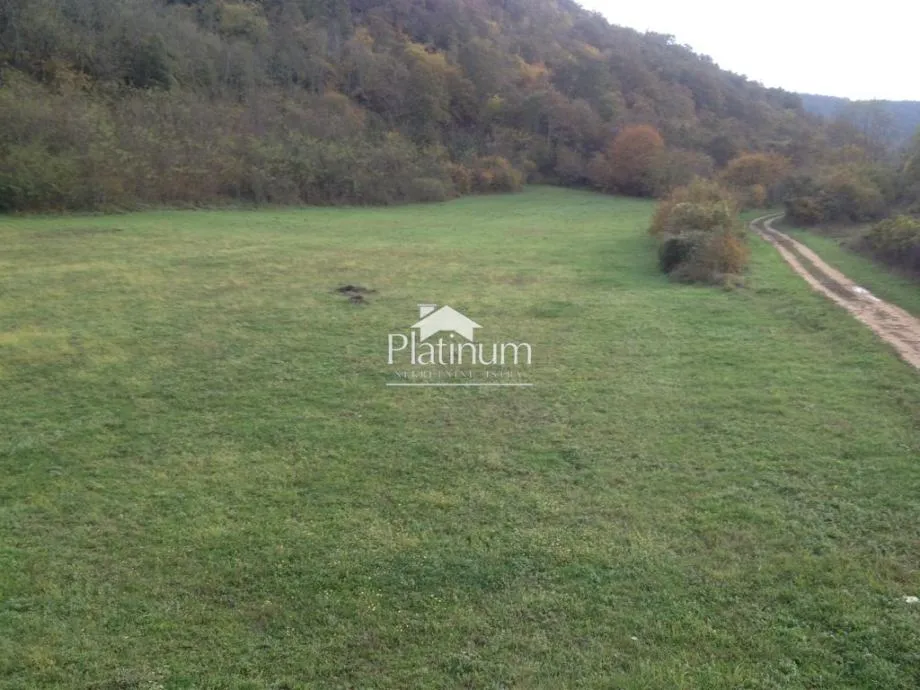Istra,Kanfanar zemljište pogodno za jahački turizam - cover