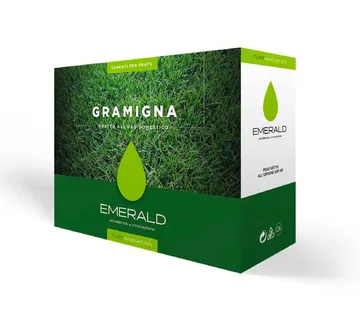 EMERALD GRAMIGNA - cover