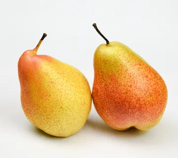 Limonera kruška *Fruit Club* - cover