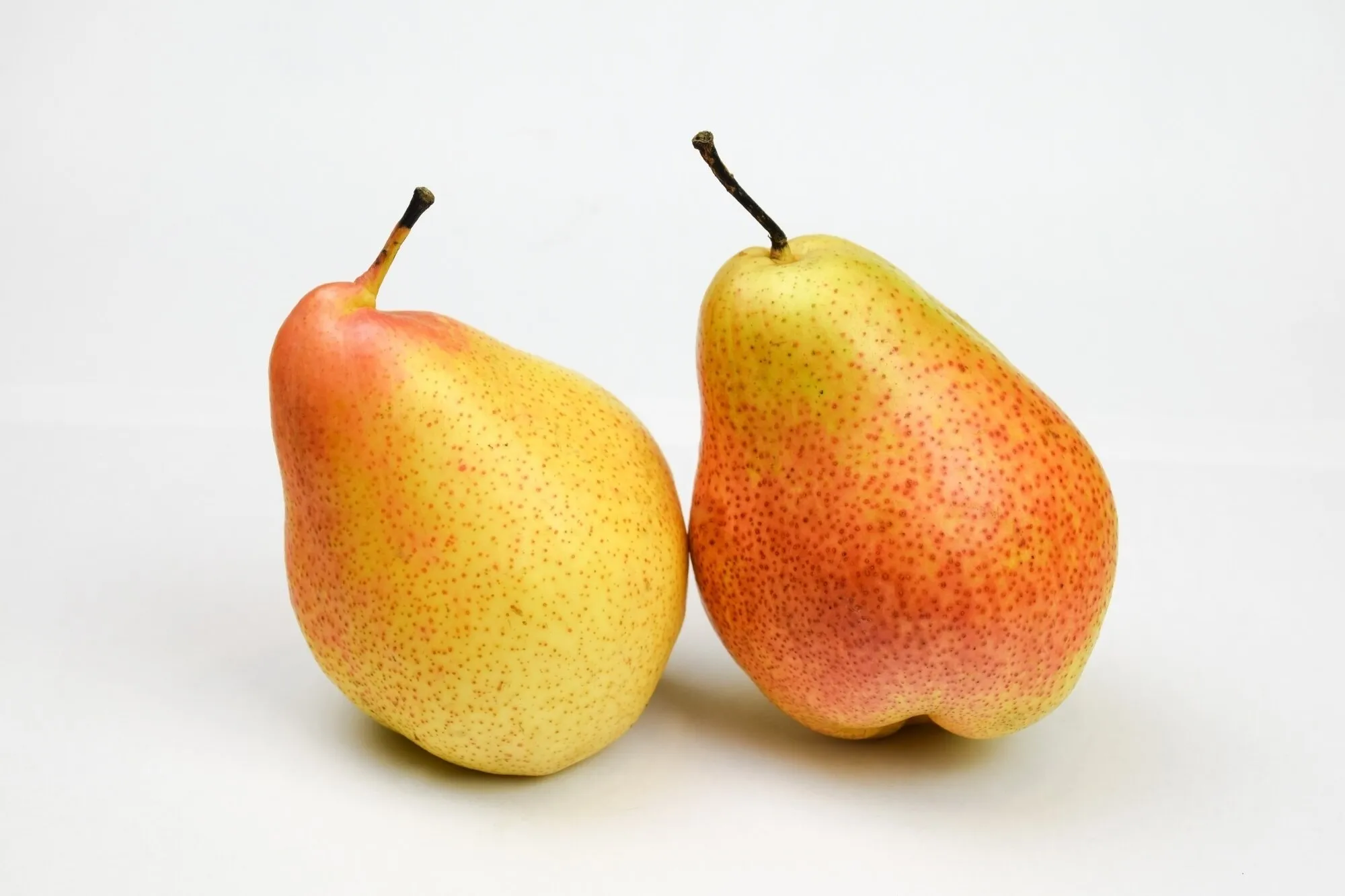 Limonera kruška *Fruit Club* - cover