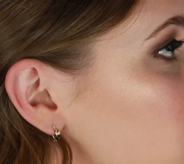 Naušnice - morčići - cover